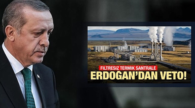 Ak Parti'nin Termik Santral Çelişkisine Cumhurbaşkanı Erdoğan'dan Veto!