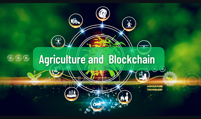 Agro Global Group Company, kripto dünyası ve gerçek tarımdaki başarıları