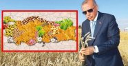 Başkan Erdoğan: Türkiye Ata tohumunda kararlı